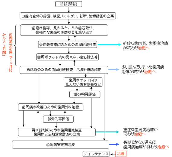 高山歯科医院の基本的な歯周病治療の流れ